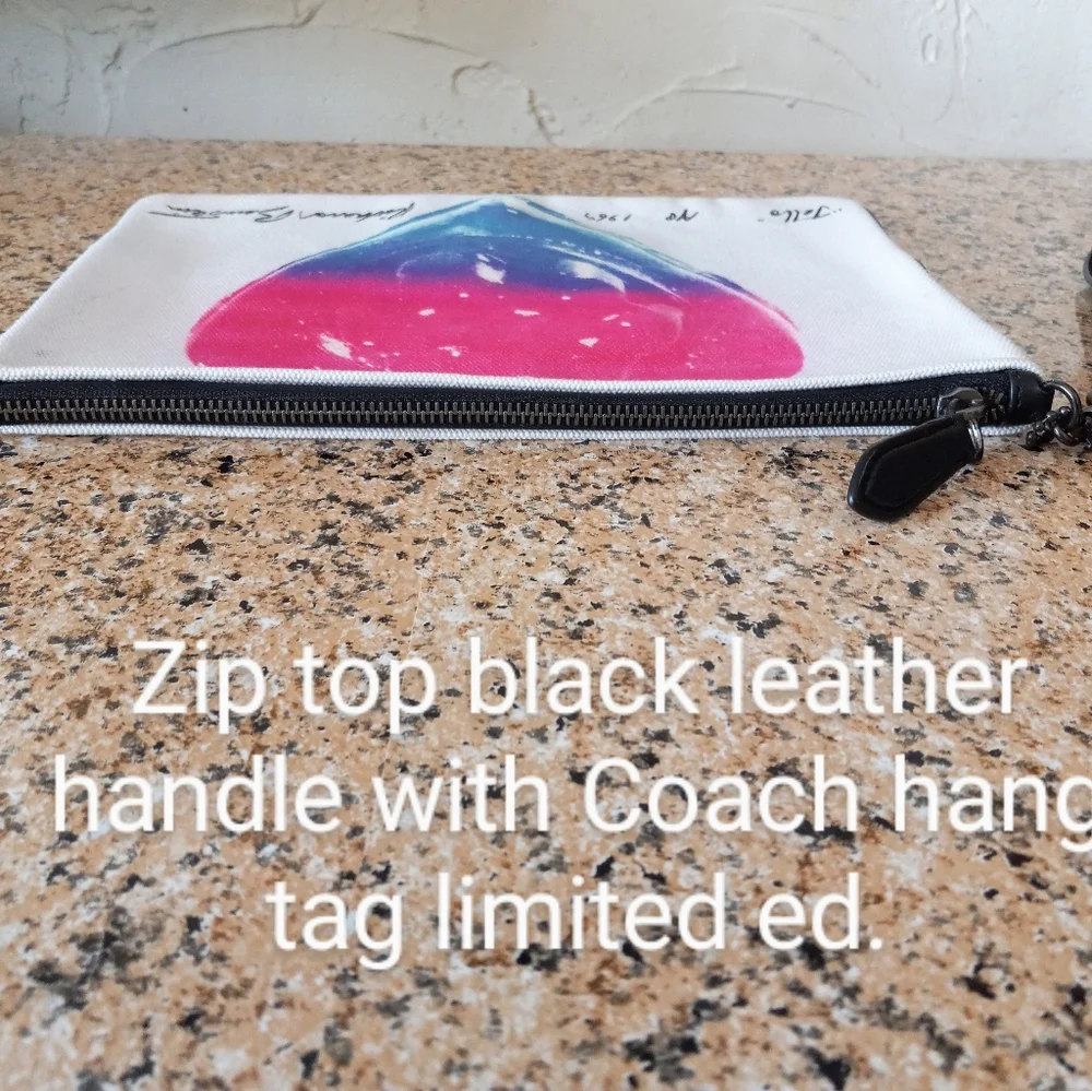 COACH X RICHARD BERNSTEIN POUCH 30 W/ JELLO HEART: JELLO HEART